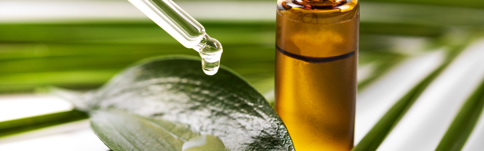 tea-tree-oil-per-bocca