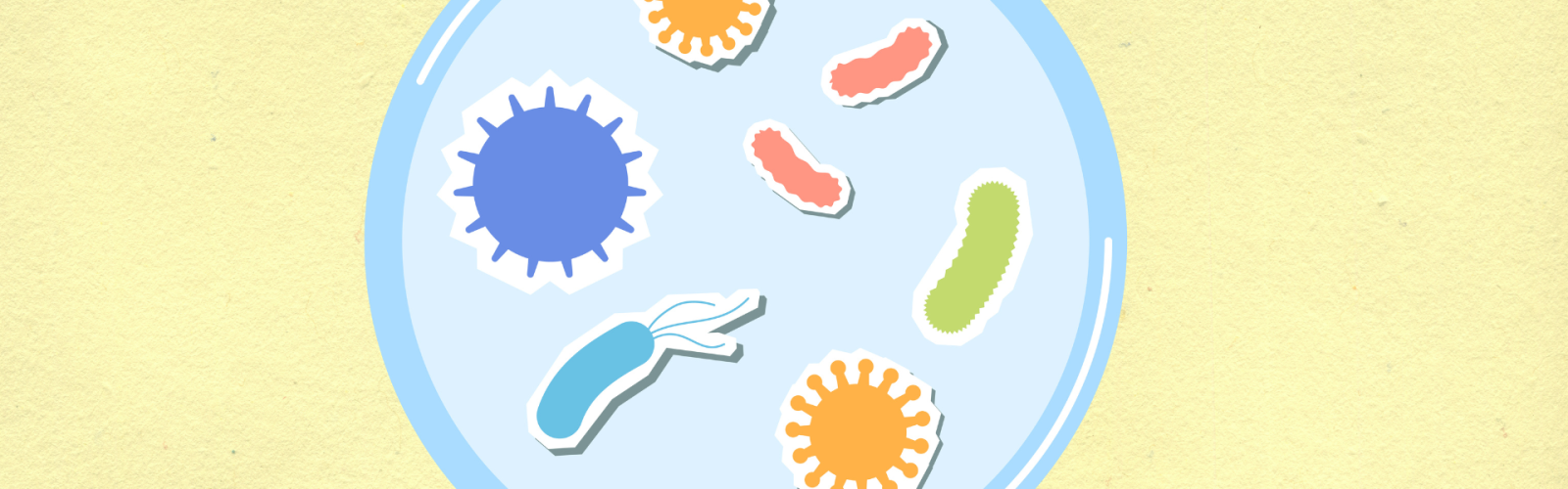 microbiota orale
